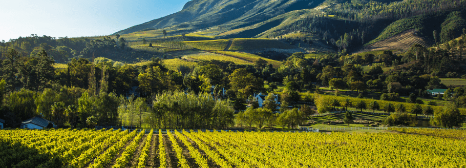 South Africa Roadshow 2024